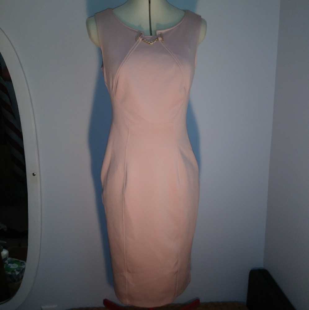 Enfocus Pink Bodycon Dress